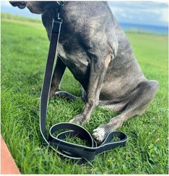 IBK Doggies Flashlight Reflective Nylon Bungee Leash Collar Set, Black, Small