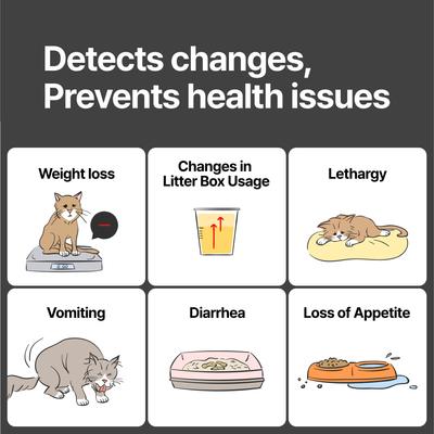 Show full view: PurrSong LavvieBox IoT HealthCare Air Filtration Manual Cat LitterBox, 19.5 x 26 x 19.3-in slide 3 of 7