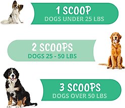 Under the Weather Allergy & Anti-Itch Powder Supplement for Dogs, 4.23-oz jar slide 2 of 6