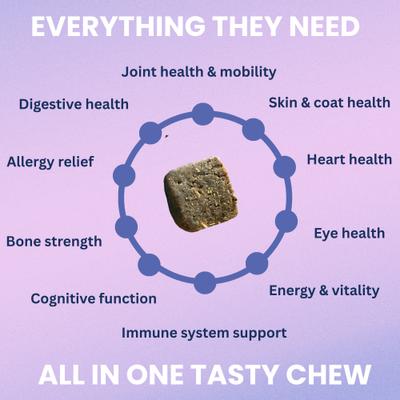 Show full view: Under the Weather Multivitamin Soft Chew Supplement for Dogs, 4.23-oz jar slide 3 of 7