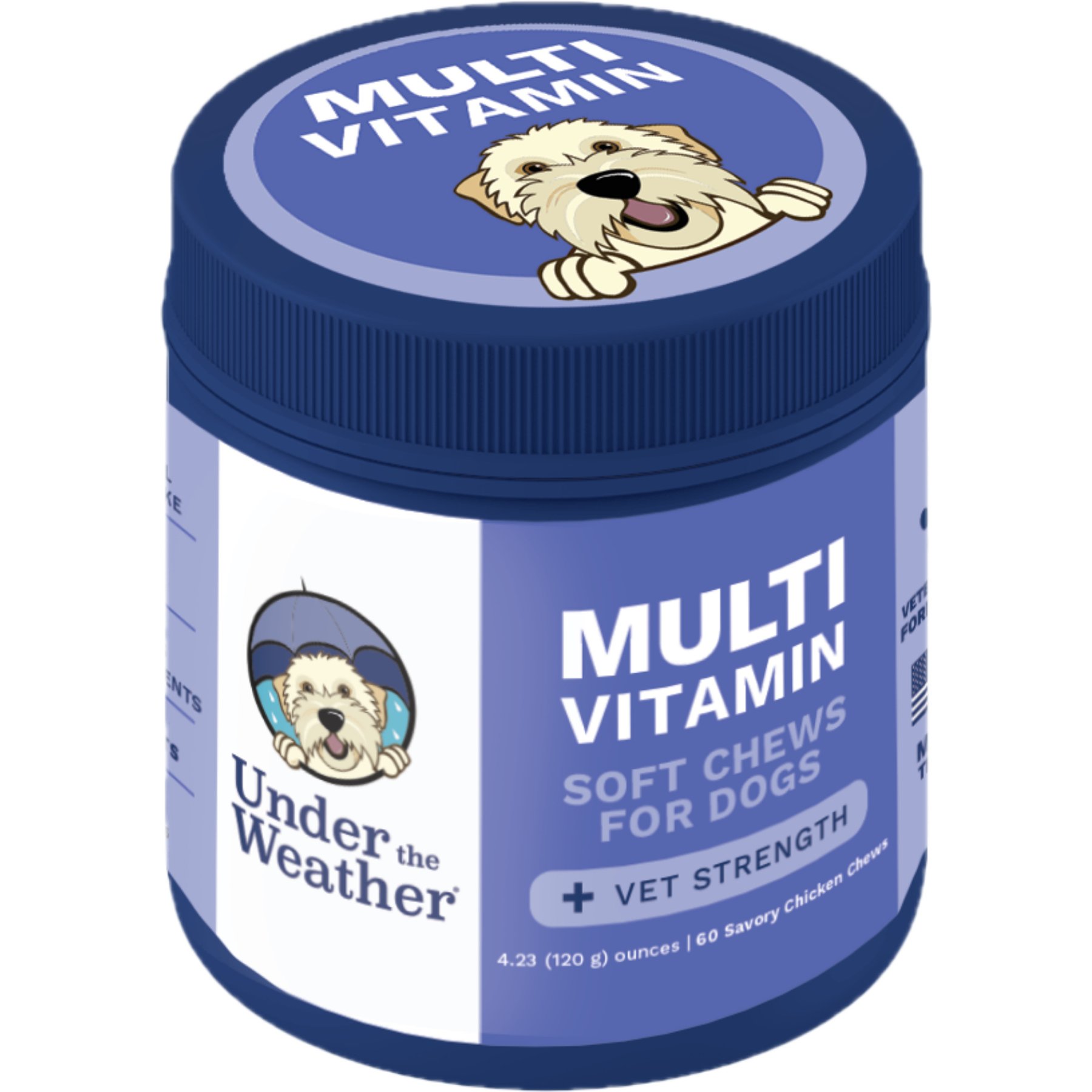 Under the Weather Multivitamin Soft Chew Supplement for Dogs, 4.23-oz jar