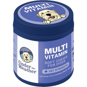 Under the Weather Multivitamin Soft Chew Supplement for Dogs, 4.23-oz jar