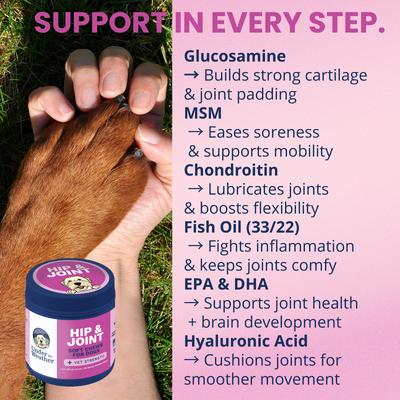 Show full view: Under the Weather Hip & Joint Soft Chew Supplement for Dogs, 4.23-oz jar slide 6 of 8