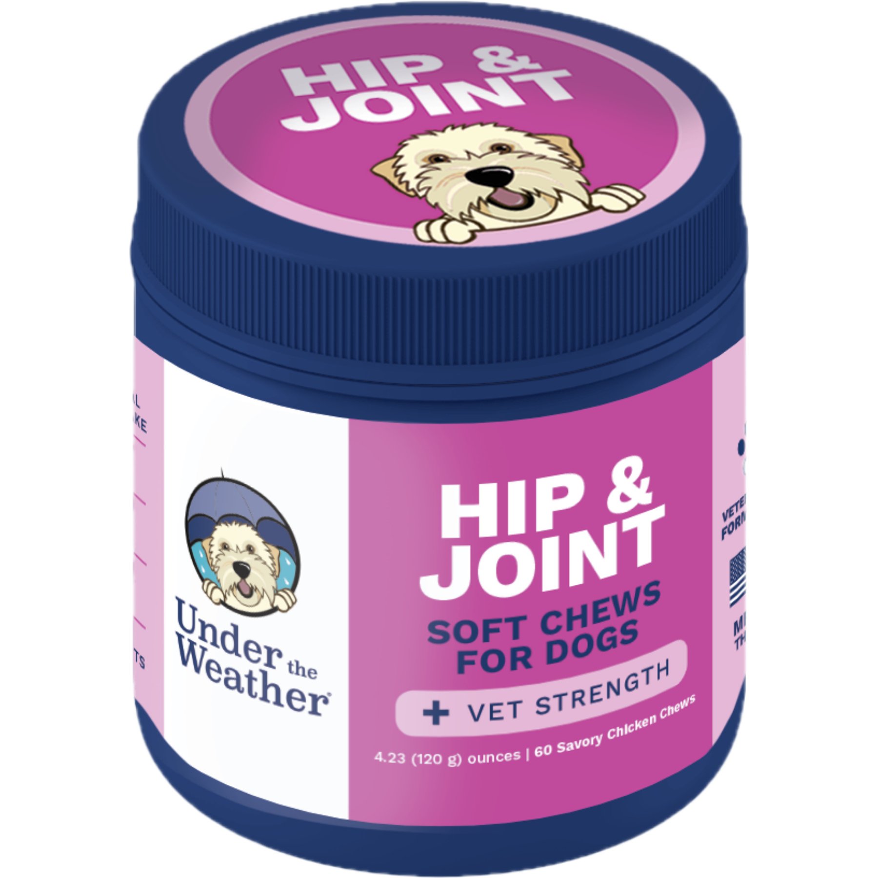 Under the Weather Hip & Joint Soft Chew Supplement for Dogs, 4.23-oz jar