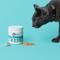 Show in main carousel: Under the Weather Probiotic Powder for Cats, 2.54-oz jar slide 7 of 7