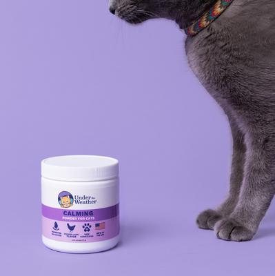 Show full view: Under the Weather Anxiety & Stress Relief Calming Powder Supplement for Cats, 2.54-oz jar slide 6 of 6