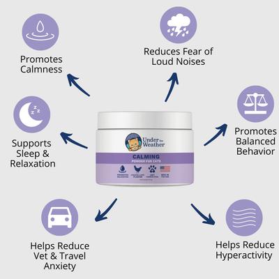 Show full view: Under the Weather Anxiety & Stress Relief Calming Powder Supplement for Cats, 2.54-oz jar slide 4 of 6