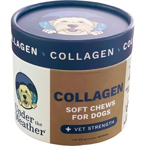 Under the Weather Collagen Soft Chew Supplement for Dogs, 8.82-oz jar