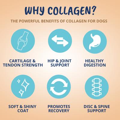 Show full view: Under the Weather Collagen Soft Chew Supplement for Dogs, 8.82-oz jar slide 4 of 7