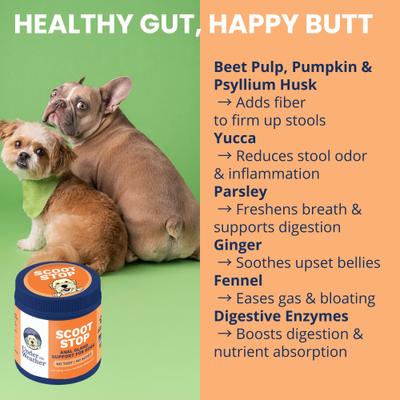 Show full view: Under the Weather No Scoot No Toot Digestive Aid Soft Chew Supplement for Dogs, 60 count slide 5 of 7