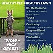 Show in main carousel: Under the Weather Nice Grass Urine Neutralizer Soft Chew Supplement for Dogs, 60 count slide 4 of 6