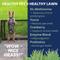 Show in main carousel: Under the Weather Nice Grass Urine Neutralizer Soft Chew Supplement for Dogs, 60 count slide 5 of 7