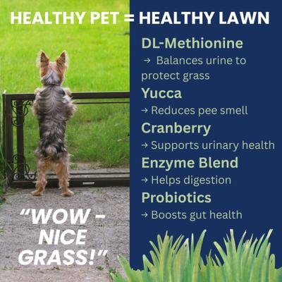 Show full view: Under the Weather Nice Grass Urine Neutralizer Soft Chew Supplement for Dogs, 60 count slide 5 of 7