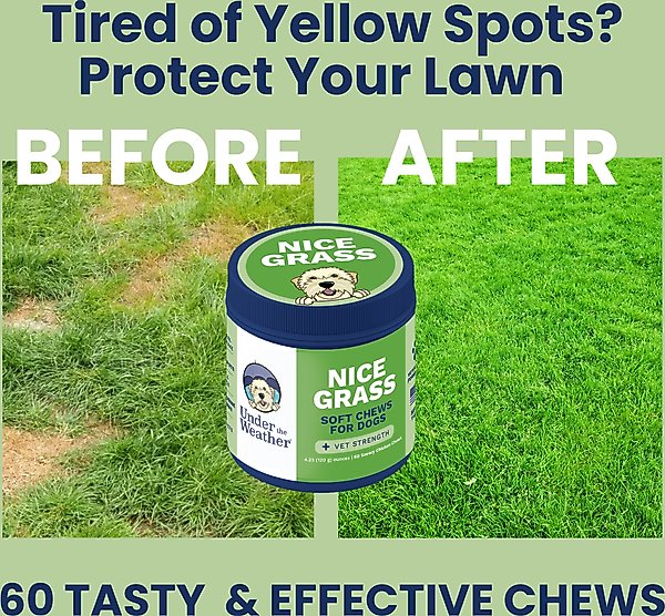 Show full view: Under the Weather Nice Grass Urine Neutralizer Soft Chew Supplement for Dogs, 60 count slide 2 of 6