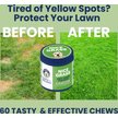 Show in main carousel: Under the Weather Nice Grass Urine Neutralizer Soft Chew Supplement for Dogs, 60 count slide 2 of 6