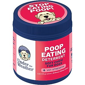 Under the Weather Poop Eating Deterrent Coprophagia Soft Chew Supplement for Dogs, 4.23-oz jar