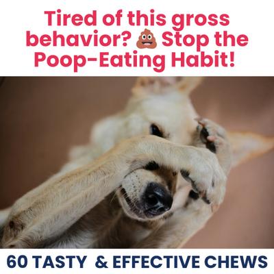 Show full view: Under the Weather Poop Eating Deterrent Coprophagia Soft Chew Supplement for Dogs, 4.23-oz jar slide 3 of 7