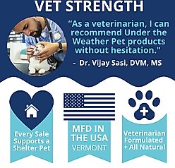 Under the Weather Disc & Spine Soft Chew Supplement for Dogs, 8.82-oz jar slide 2 of 7