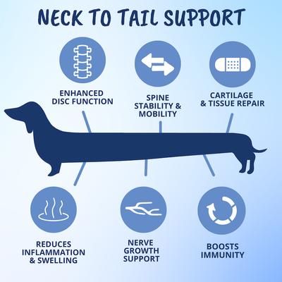 Show full view: Under the Weather Disc & Spine Soft Chew Supplement for Dogs, 8.82-oz jar slide 4 of 8