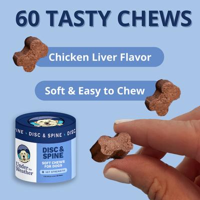 Show full view: Under the Weather Disc & Spine Soft Chew Supplement for Dogs, 8.82-oz jar slide 3 of 8