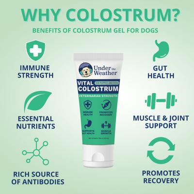 Show full view: Under the Weather Vital Colostrum Squeezable Dogs Supplement Gel for Dogs, 3.5-oz tube slide 3 of 7