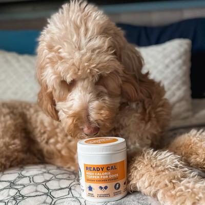 Show full view: Under the Weather Ready Cal High Calorie Powder Supplement for Dogs, 10.58-oz jar slide 8 of 9