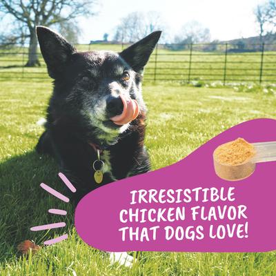 Show full view: Under the Weather Hip & Joint Powder Supplement for Dogs, 4.23-oz jar slide 8 of 8