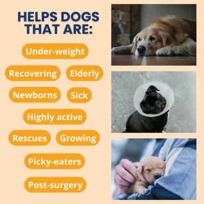 Show full view: Under the Weather Ready Cal High Calorie Powder Supplement for Dogs, 10.58-oz jar slide 3 of 9