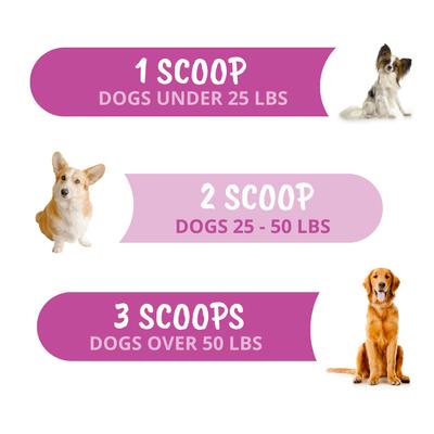 Show full view: Under the Weather Hip & Joint Powder Supplement for Dogs, 4.23-oz jar slide 4 of 8