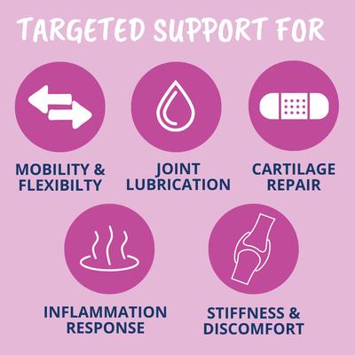 Show full view: Under the Weather Hip & Joint Powder Supplement for Dogs, 4.23-oz jar slide 3 of 8