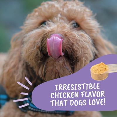 Show full view: Under the Weather Calming Powder Supplement for Dogs, 4.23-oz jar slide 8 of 8