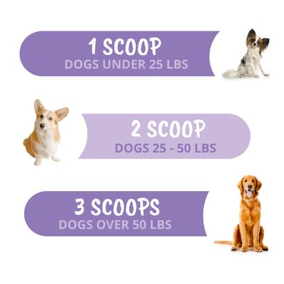 Show full view: Under the Weather Calming Powder Supplement for Dogs, 4.23-oz jar slide 4 of 8