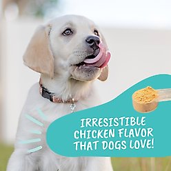 Under the Weather Probiotic Digestive Aid Powder Supplement for Dogs, 4.23-oz jar slide 2 of 5