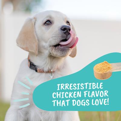 Show full view: Under the Weather Probiotic Digestive Aid Powder Supplement for Dogs, 4.23-oz jar slide 6 of 6