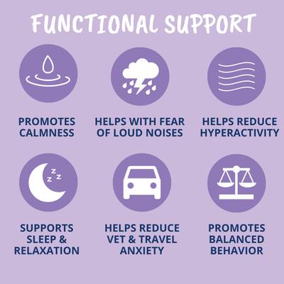 Show full view: Under the Weather Calming Powder Supplement for Dogs, 4.23-oz jar slide 3 of 8