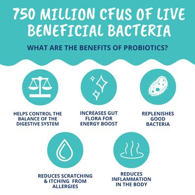 Show full view: Under the Weather Probiotic Digestive Aid Powder Supplement for Dogs, 4.23-oz jar slide 3 of 6