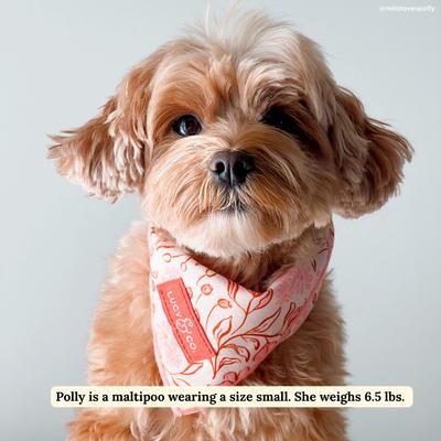 Show full view: Lucy & Co. Woodland Wildflowers Dog Bandana, Small slide 4 of 6