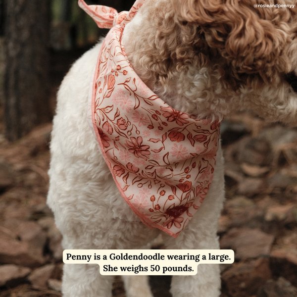 Show full view: Lucy & Co. Woodland Wildflowers Dog Bandana, Small slide 2 of 5