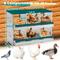 Show in main carousel: Yafylly 6 Compartments Metal Chicken Nesting Box, Green, Large slide 2 of 7