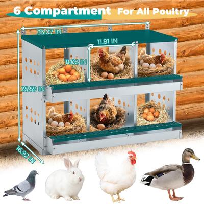 Show full view: Yafylly 6 Compartments Metal Chicken Nesting Box, Green, Large slide 2 of 7