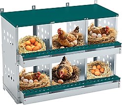 Yafylly 6 Compartments Metal Chicken Nesting Box, Green, Large