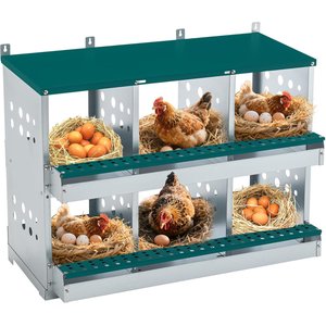 Yafylly 6 Compartments Metal Chicken Nesting Box, Green, Large