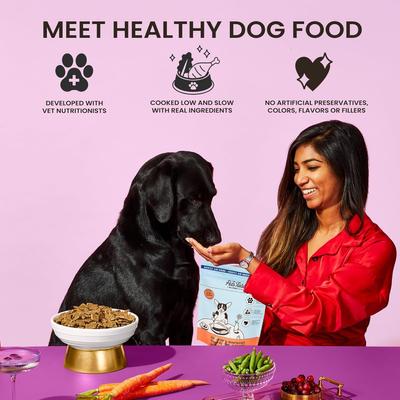 Show full view: The Pets Table Salmon & Whitefish with Pumpkin Grain-Free Air-Dried Dog Food, 72-oz bag slide 5 of 10