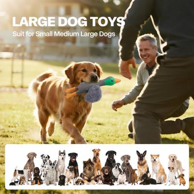 Show full view: allforpaws Zootex Soft Wing Mallard Plush Dog Toy slide 5 of 8