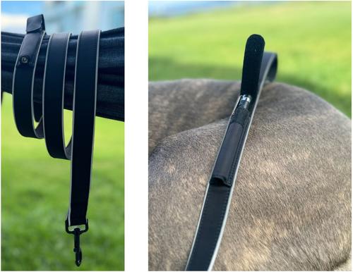 Show full view: IBK Doggies Flashlight Reflective Nylon Bungee Leash Collar Set, Black, X-Small slide 5 of 8