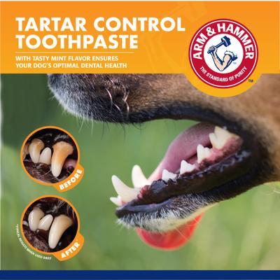 Show full view: Arm & Hammer Products Plaque Removal Fresh Mint Flavored Charcoal Dog Dental Kit, 2.5-oz bottle slide 8 of 9
