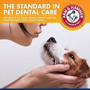 Arm & Hammer Products Tartar Control Vanilla-Ginger Flavored Enzymatic Puppy Dental Training Kit