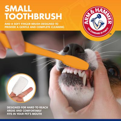 Show full view: Arm & Hammer Products Tartar Control Vanilla-Ginger Flavored Enzymatic Puppy Dental Training Kit slide 6 of 9