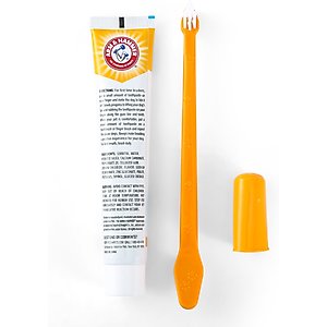 Arm & Hammer Products Fresh Breath Vanilla-Ginger Flavored Dog Dental Kit, 2.5-oz tube