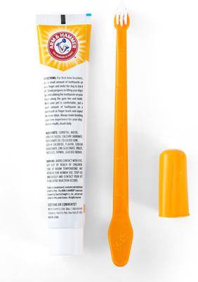 Show full view: Arm & Hammer Products Fresh Breath Vanilla-Ginger Flavored Dog Dental Kit, 2.5-oz tube slide 6 of 11